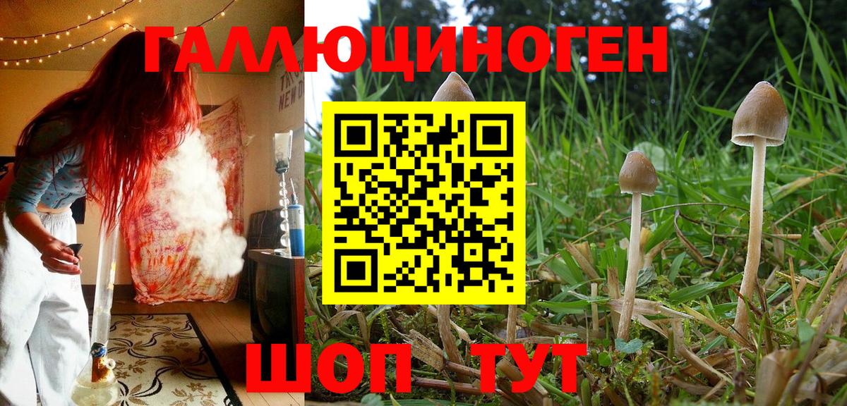 Бийск  Галлюциногенные грибы Psilocybine cubensis  Вход с VPN  Галлюциногенные грибы мицелий 
